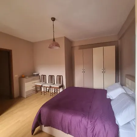 Appartement Family In Center Of Tirana